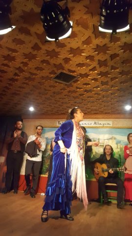 580 granada flamenco show